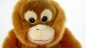 Preview: Orang Utan 27 cm